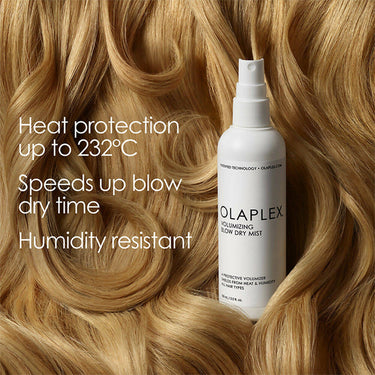 https://cdn.shopify.com/s/files/1/1857/6931/products/4t26rKE9Xz.jpg?v=1696858853